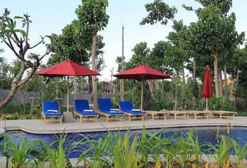 סטודיו סטנדרט נוף לים, Jaya Villa