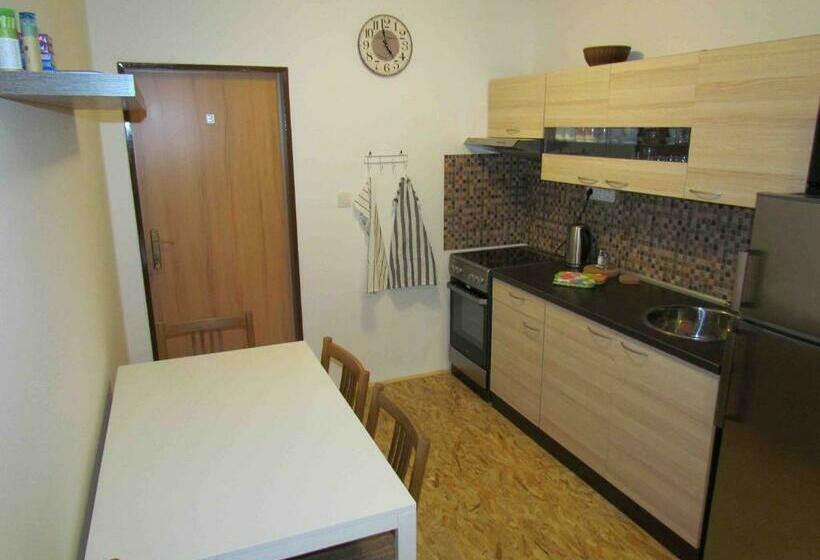 דירת חדר, Dopravna Alžbětín