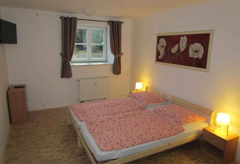 דירת חדר, Dopravna Alžbětín