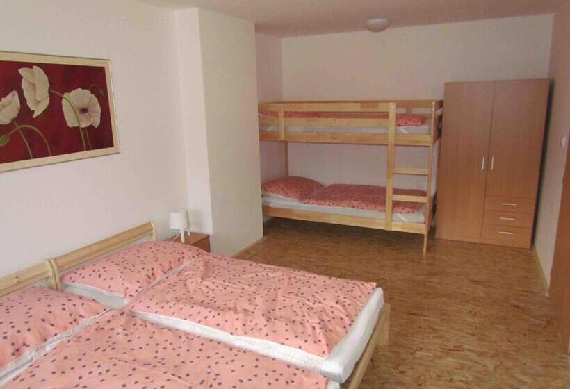 דירת חדר, Dopravna Alžbětín