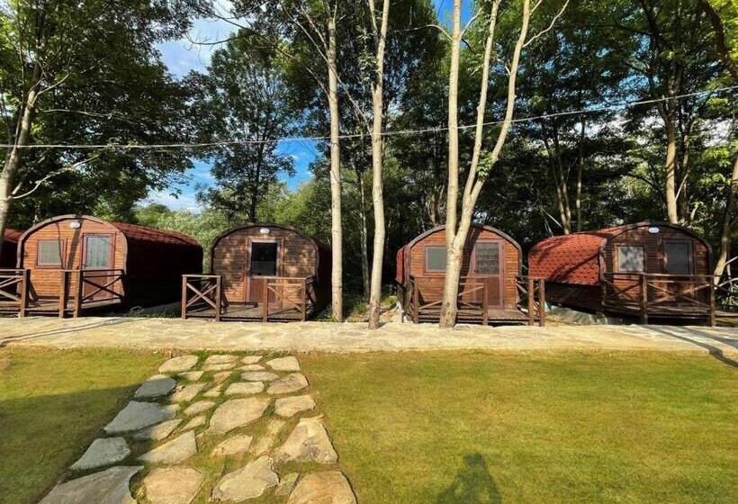 Бунгало Deluxe, карамановите къщи