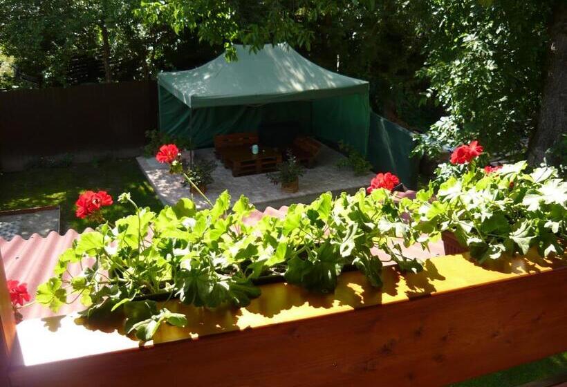 Standard Triple Room with Terrace, Casa De Oaspeti Liviu