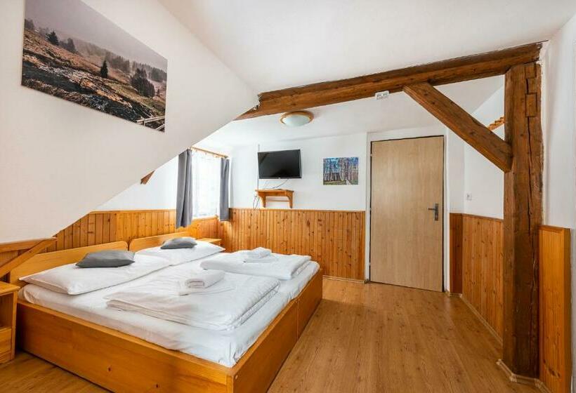 스탠다드 전망 룸, Penzion černý Vlk