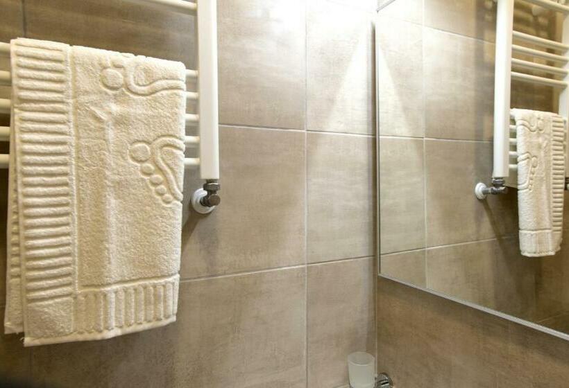 스탠다드 룸 킹사이즈 침대, Top Royal Central Brasov