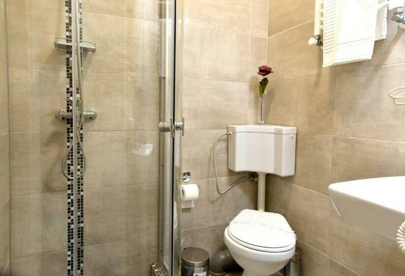 스탠다드 룸 킹사이즈 침대, Top Royal Central Brasov