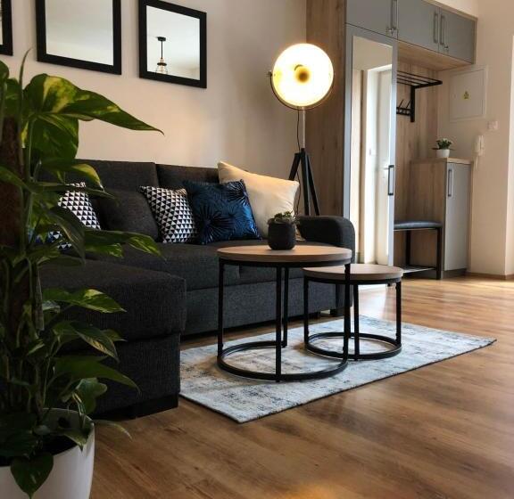 חדר דופלקס, Apartmány Koněvova