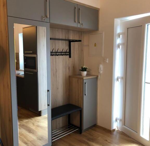 اتاق دوبلکس, Apartmány Koněvova