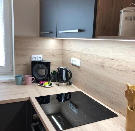 חדר דופלקס, Apartmány Koněvova