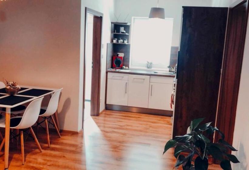 آپارتمان 1 خوابه با تراس, Apartmány Koněvova