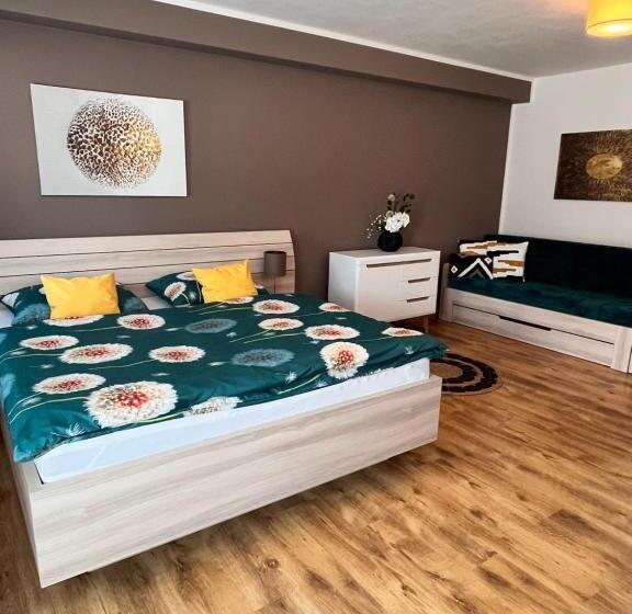 آپارتمان 1 خوابه با تراس, Apartmány Koněvova
