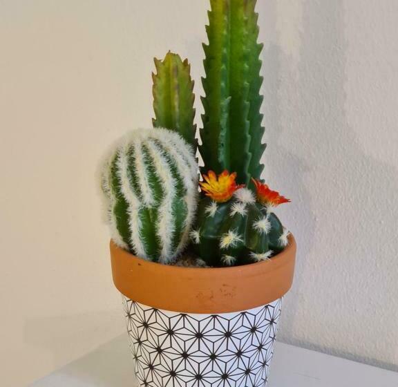 Номер Стандарт, Bea S Bed & Breakfast