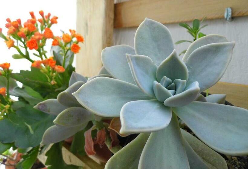 Номер Стандарт, Bea S Bed & Breakfast