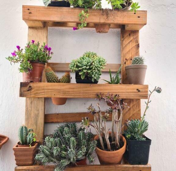 Номер Стандарт, Bea S Bed & Breakfast