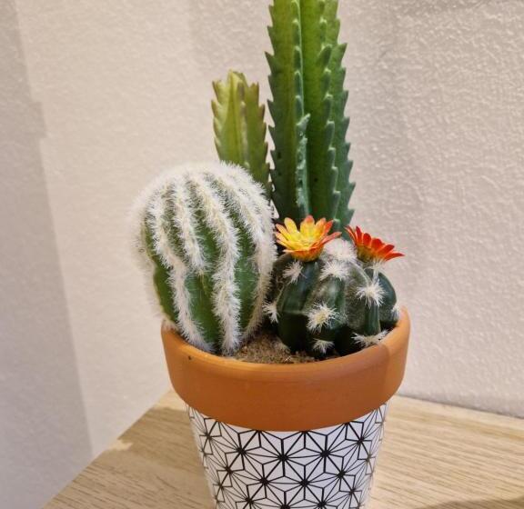 Номер Стандарт, Bea S Bed & Breakfast