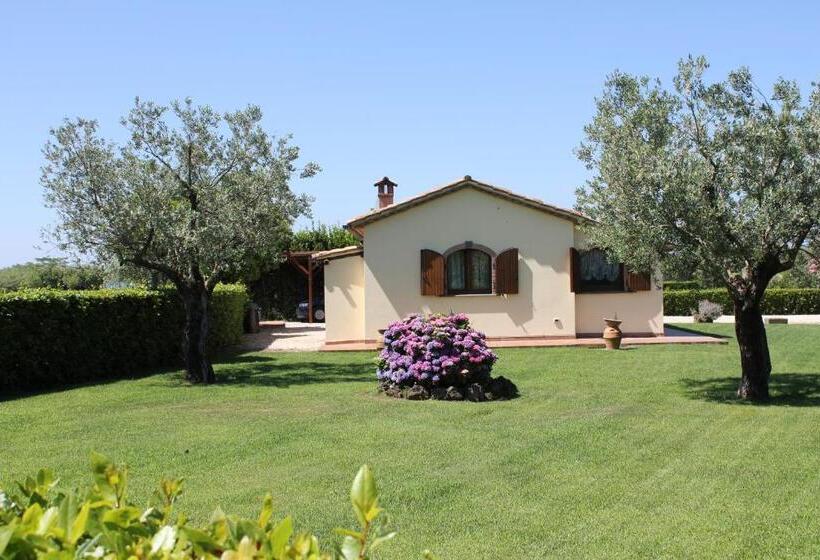 Апартаменты 1 Спальня Нижний Этаж, Agriturismo Casale Del Contadino