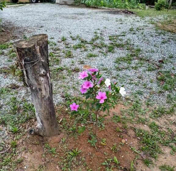 一居室别墅, Chales Do Antonio