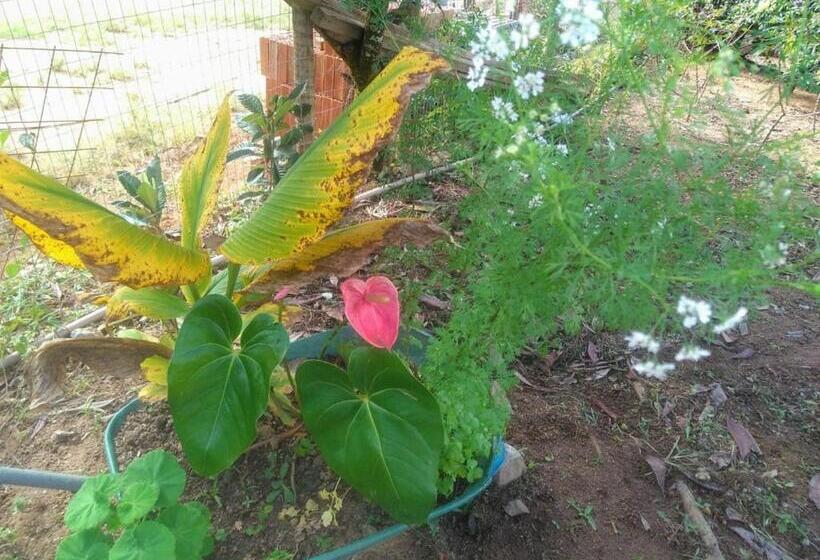 一居室别墅, Chales Do Antonio