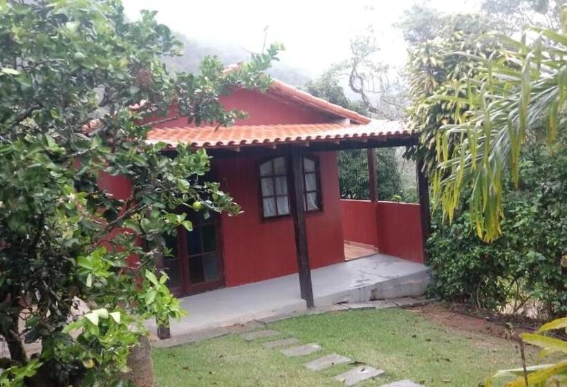 四人标准间, Chales Do Antonio