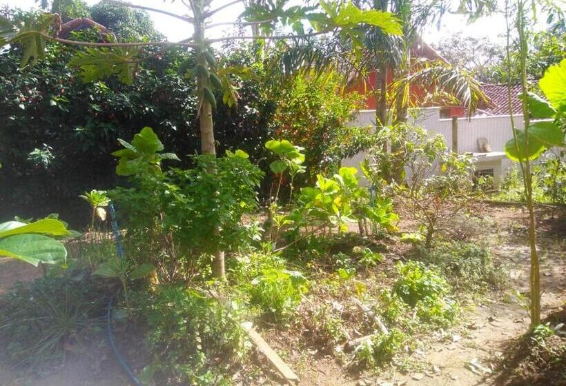 四人标准间, Chales Do Antonio