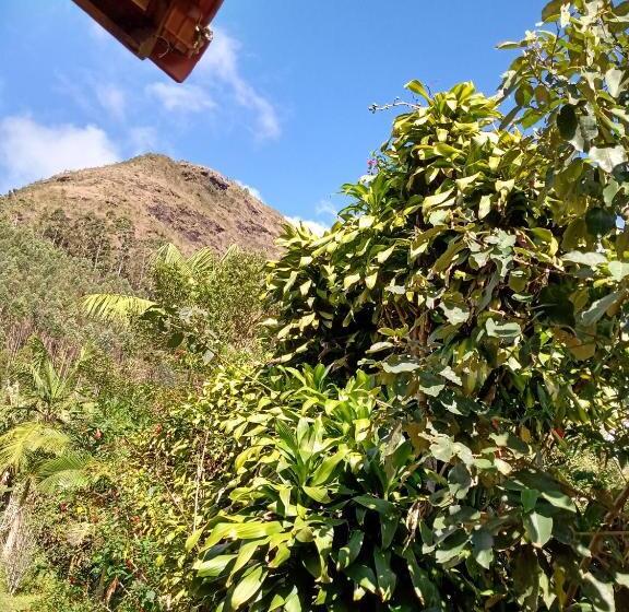 四人标准间, Chales Do Antonio