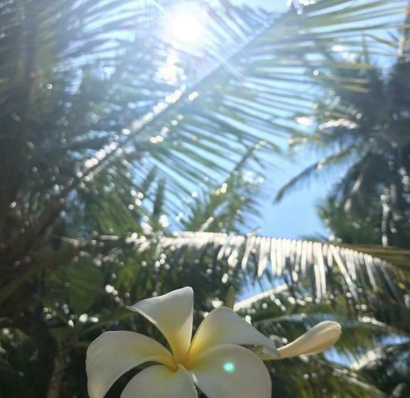 בקתה סטנדרטית, Blue Bay Divers Likupang Bangka