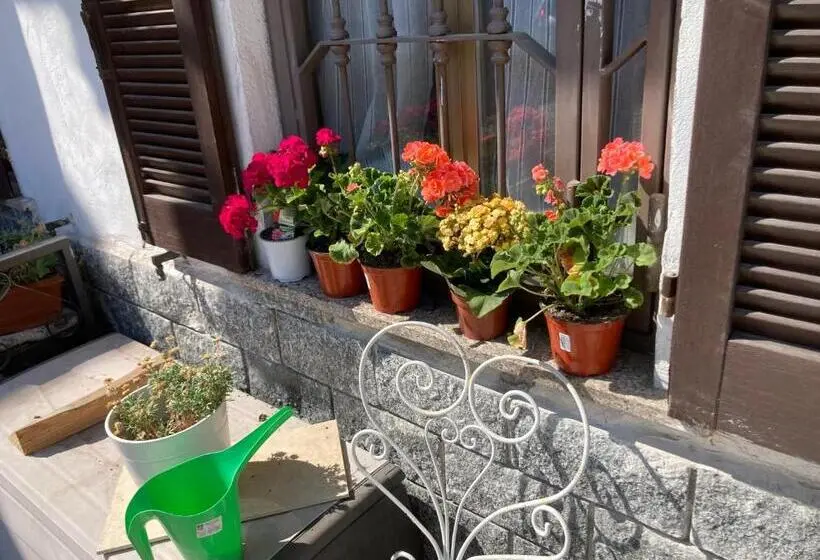 Superior-huone, Room Saronno + B&b
