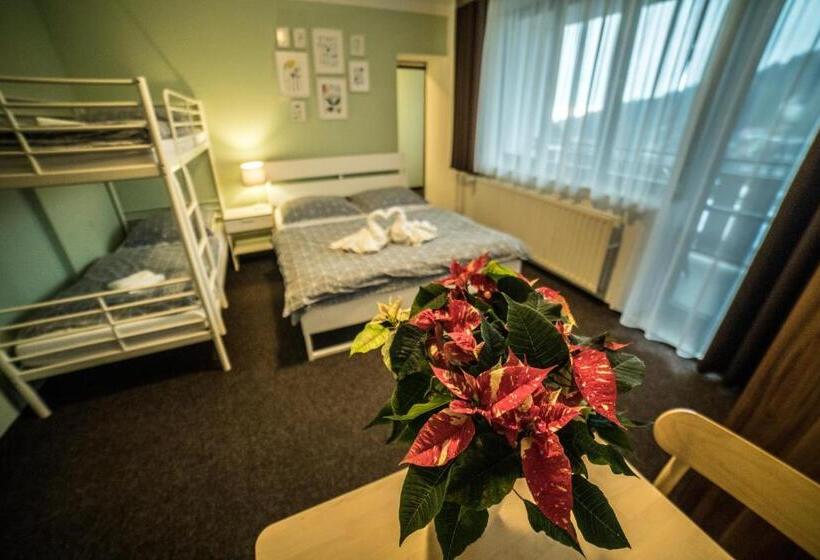 דירת שני חדרים, Penzion Garden