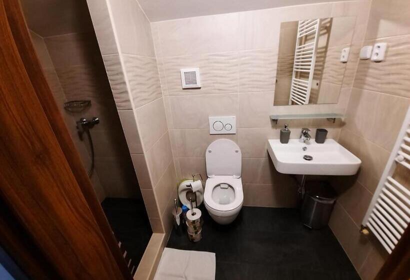 בית, 4 חדרי שינה, Penzion Garden