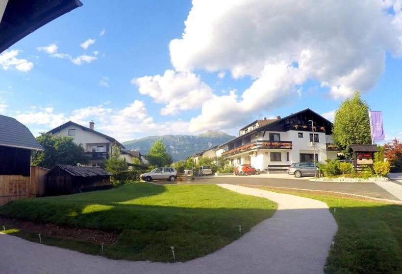 آپارتمان 2 خوابه, The Jungle Apartments And Rooms