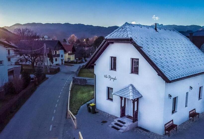 اتاق استاندارد, The Jungle Apartments And Rooms