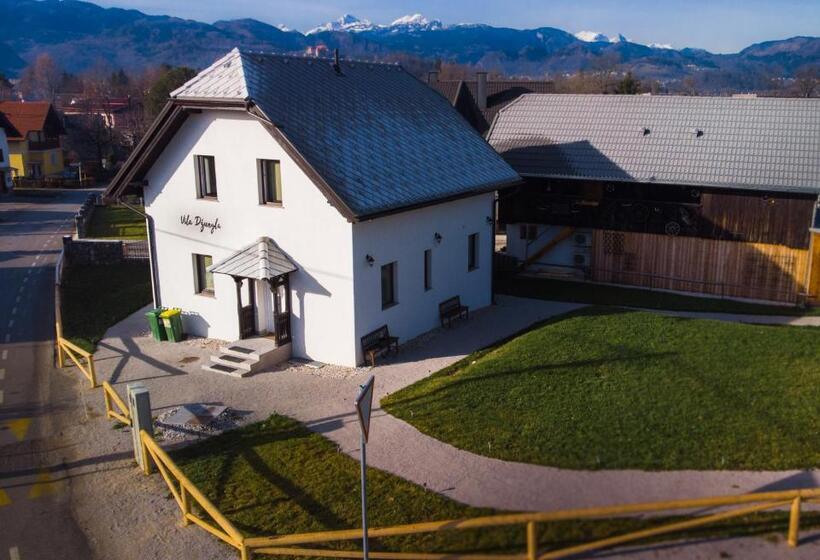 اتاق استاندارد, The Jungle Apartments And Rooms