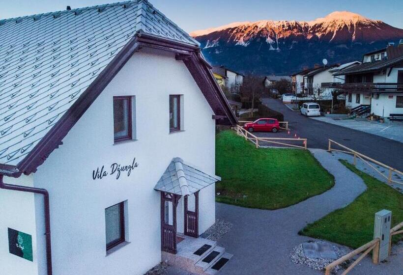 آپارتمان 1 خوابه, The Jungle Apartments And Rooms