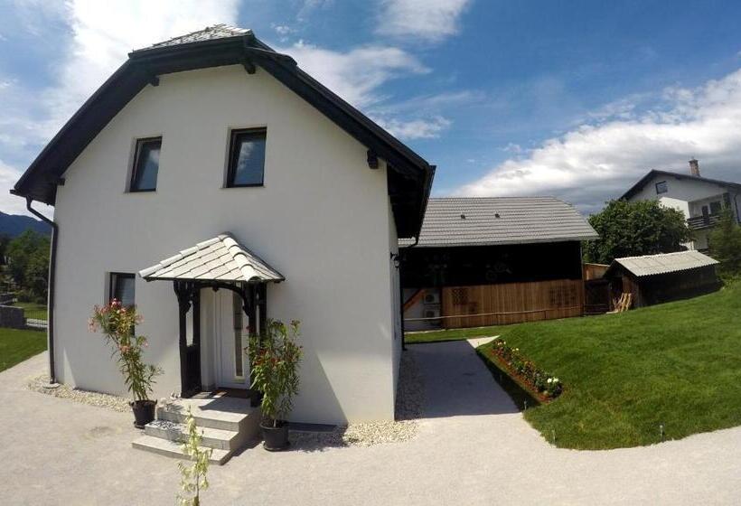 آپارتمان 1 خوابه با تراس, The Jungle Apartments And Rooms