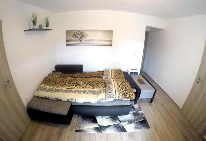 آپارتمان 1 خوابه با تراس, The Jungle Apartments And Rooms