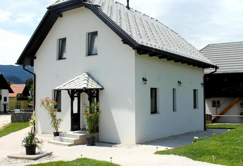 آپارتمان 1 خوابه با تراس, The Jungle Apartments And Rooms