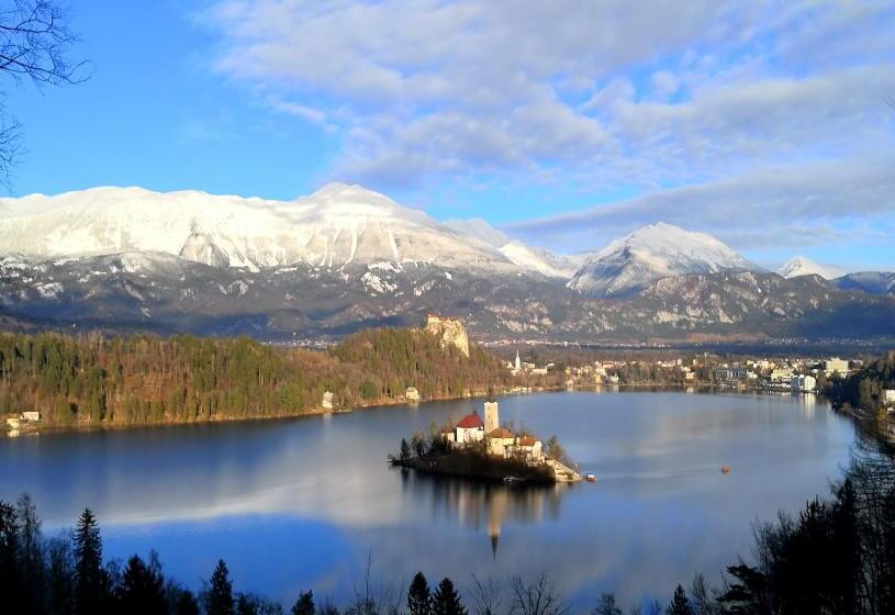 آپارتمان 1 خوابه, The Jungle Apartments And Rooms