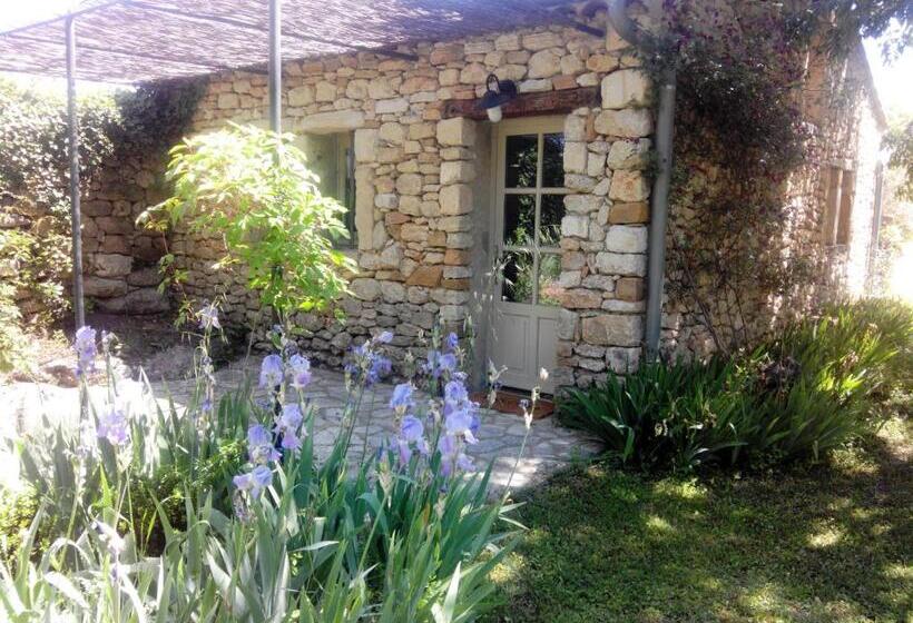 ガーデンビューのスタンダードワンルーム, Les Olivettes Le Mazet