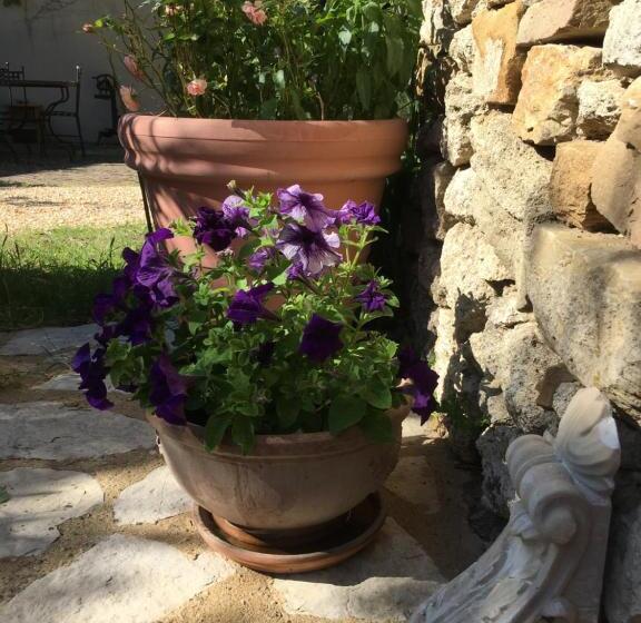 ガーデンビューのスタンダードワンルーム, Les Olivettes Le Mazet