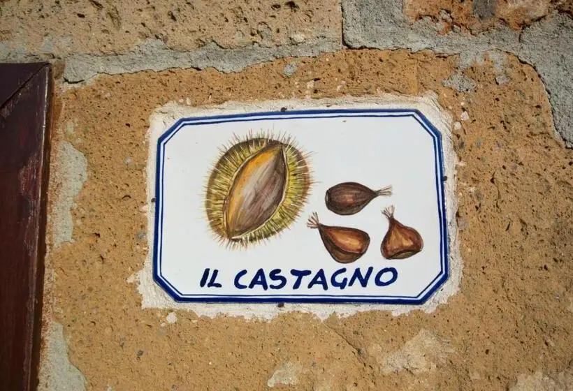 公園の見えるスタンダードルーム, Agriturismo Cerqueto