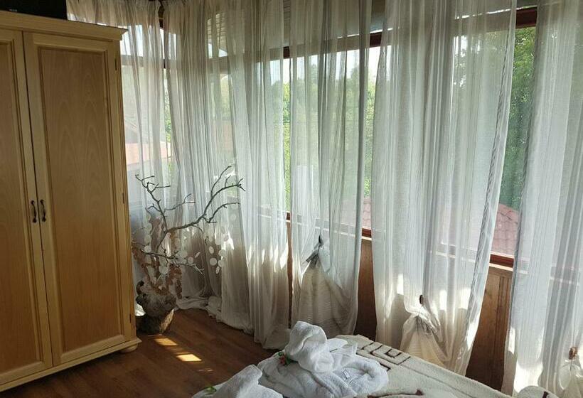 בית, 3 חדרי שינה, вила поликсения петиня