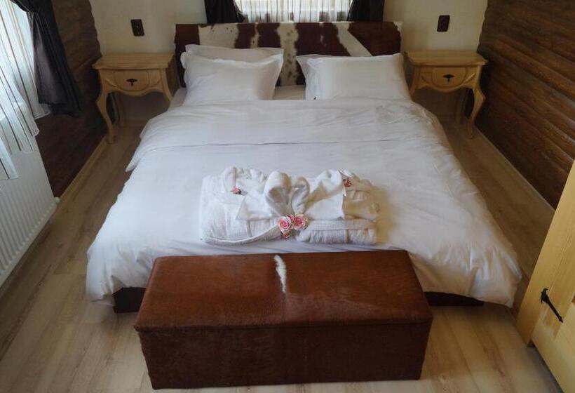 חדר דלוקס, вила поликсения петиня