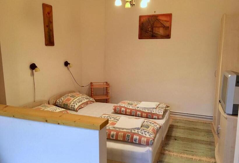 חדר סטנדרט לשלושה, Homoky Pincészet és Vendégház