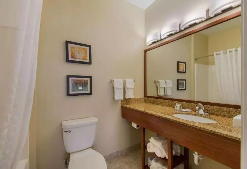スイート, Comfort Inn & Suites Barnesville   Frackville