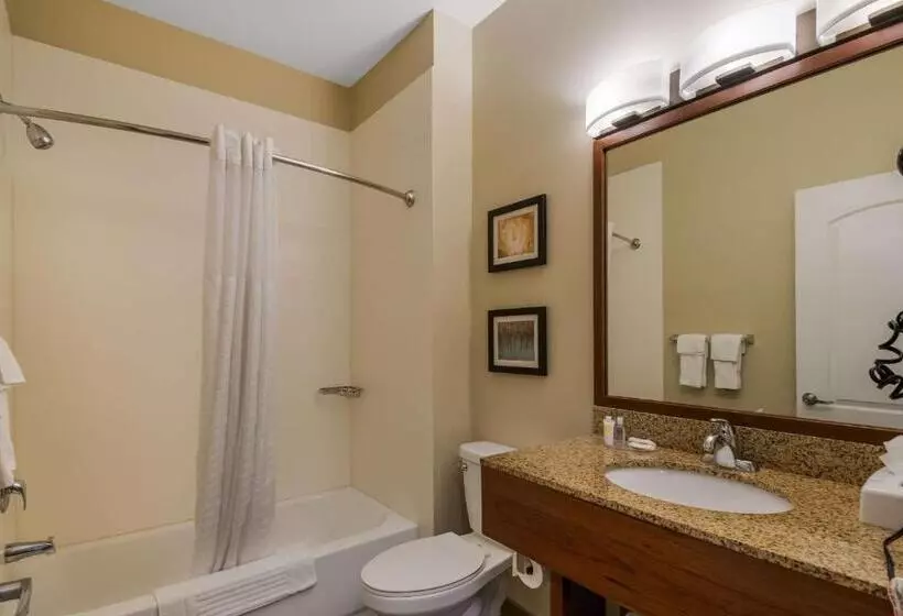 スタンダードルーム, Comfort Inn & Suites Barnesville   Frackville