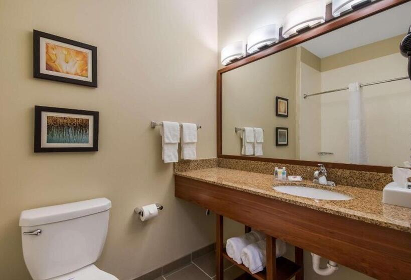 غرفة قياسية سرير كينج, Comfort Inn & Suites Barnesville   Frackville