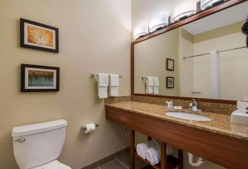 キングサイズベッドのスタンダードルーム, Comfort Inn & Suites Barnesville   Frackville