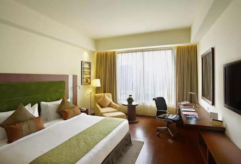 ビジネスルーム, Radisson Blu Hotel Rudrapur