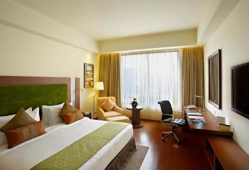 ビジネスルーム, Radisson Blu Hotel Rudrapur