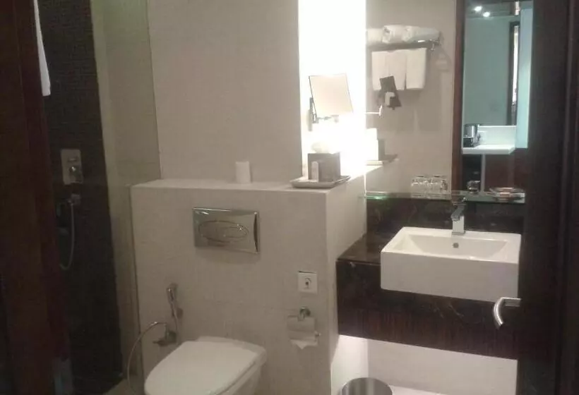 ビジネスルーム, Radisson Blu Hotel Rudrapur