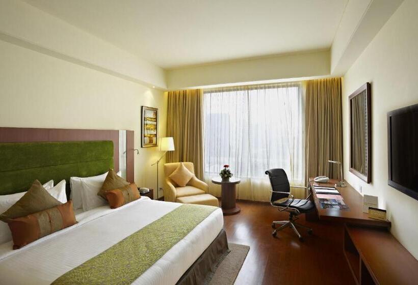 סוויטה אקזקיוטיב, Radisson Blu Hotel Rudrapur